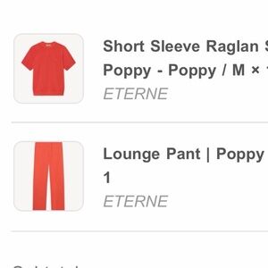 Eterne set! Short sleeve raglan sweater with lounge pants over $600 value